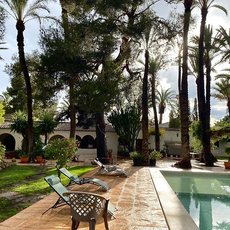 Bed and Breakfast Pink Lemon House Elx Esterno foto