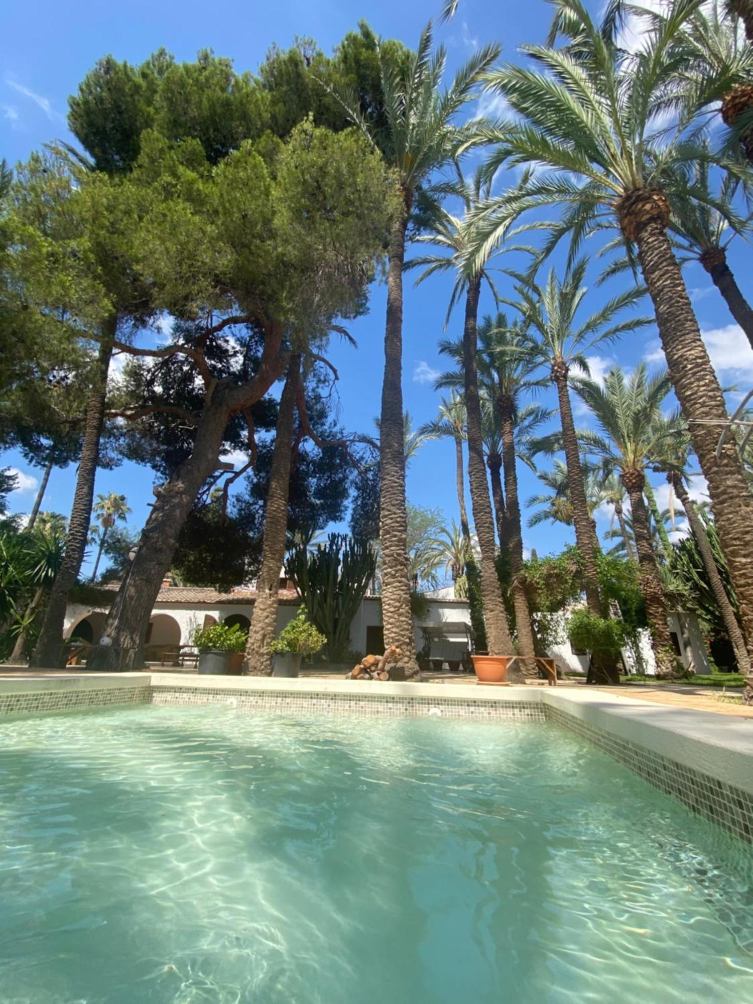 Bed and Breakfast Pink Lemon House Elx Esterno foto