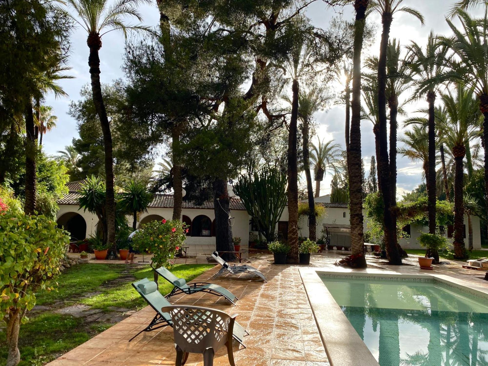 Bed and Breakfast Pink Lemon House Elx Esterno foto