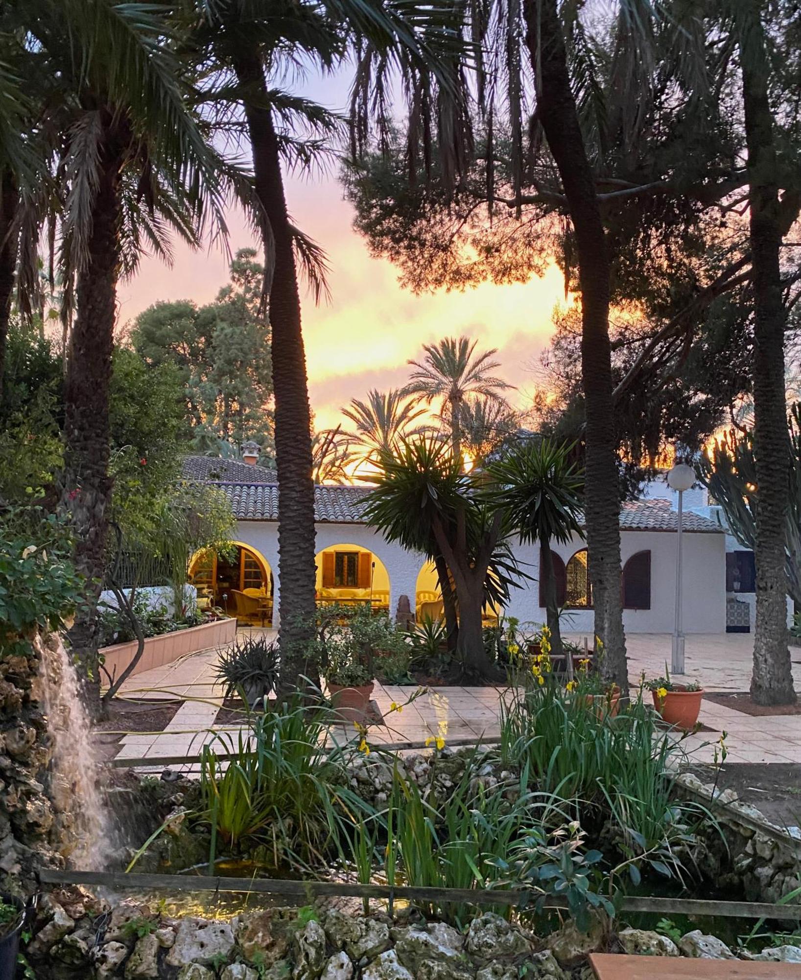 Bed and Breakfast Pink Lemon House Elx Esterno foto