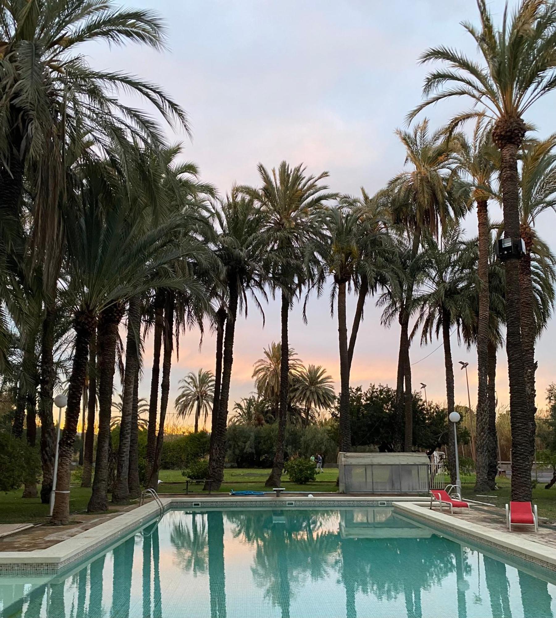 Bed and Breakfast Pink Lemon House Elx Esterno foto