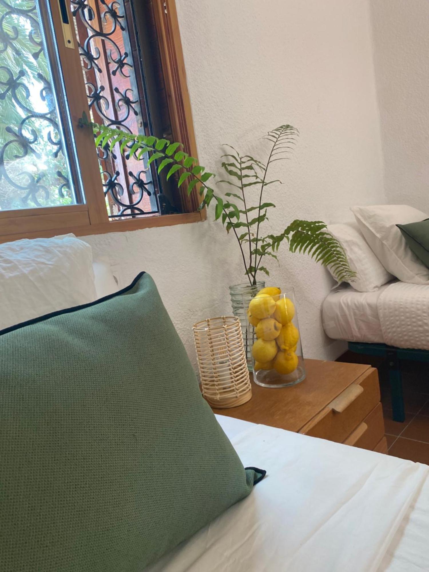 Bed and Breakfast Pink Lemon House Elx Esterno foto
