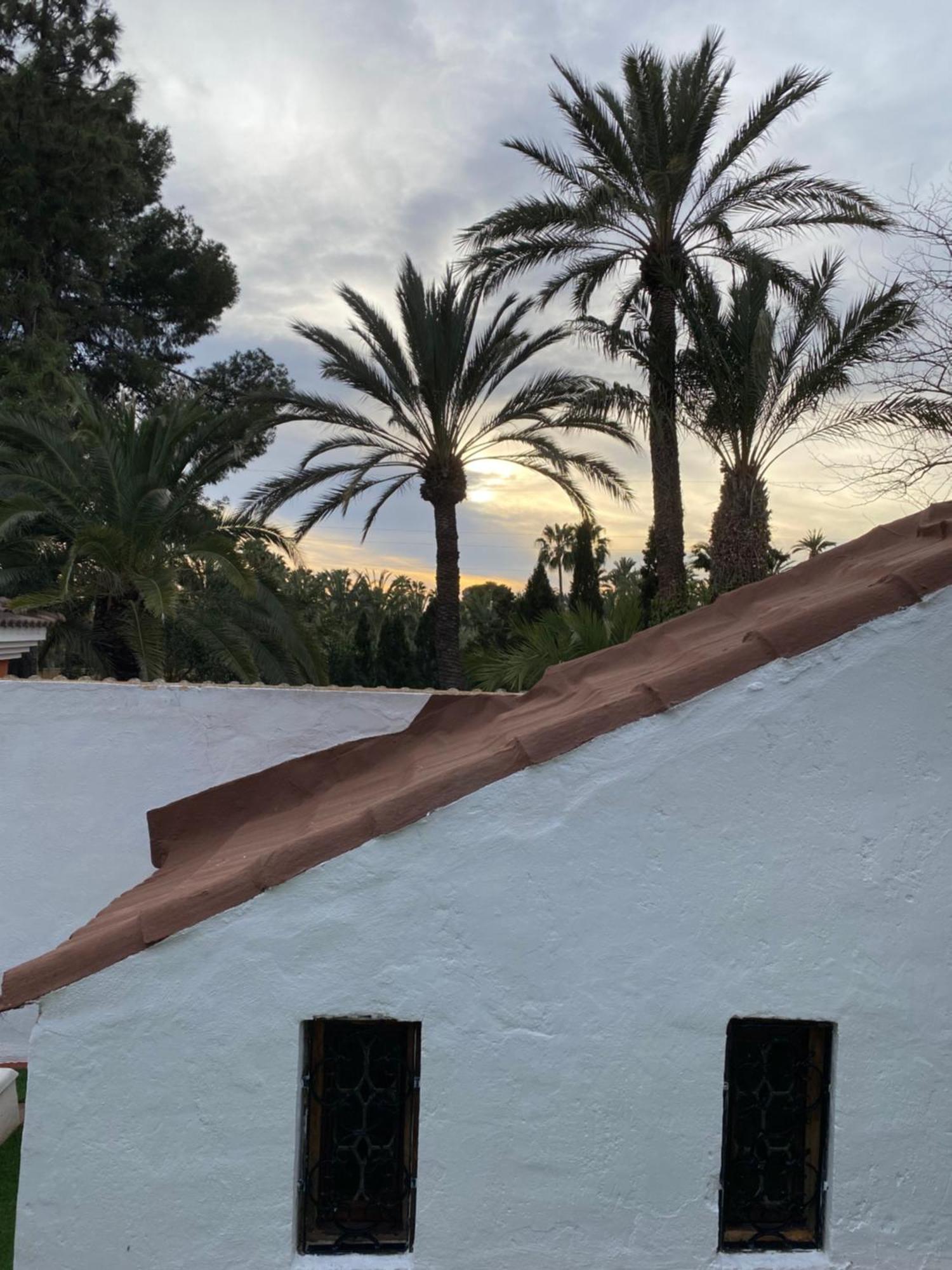 Bed and Breakfast Pink Lemon House Elx Esterno foto