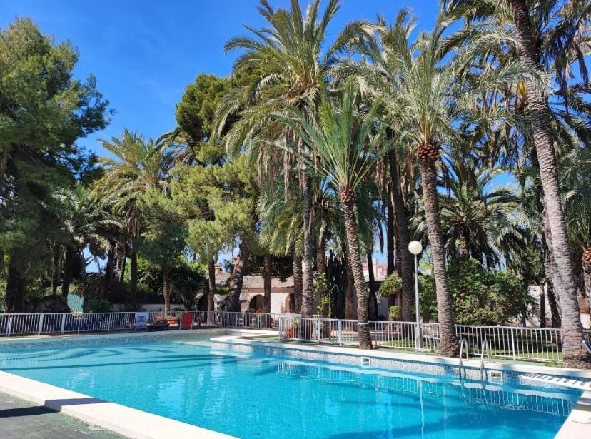 Bed and Breakfast Pink Lemon House Elx Esterno foto