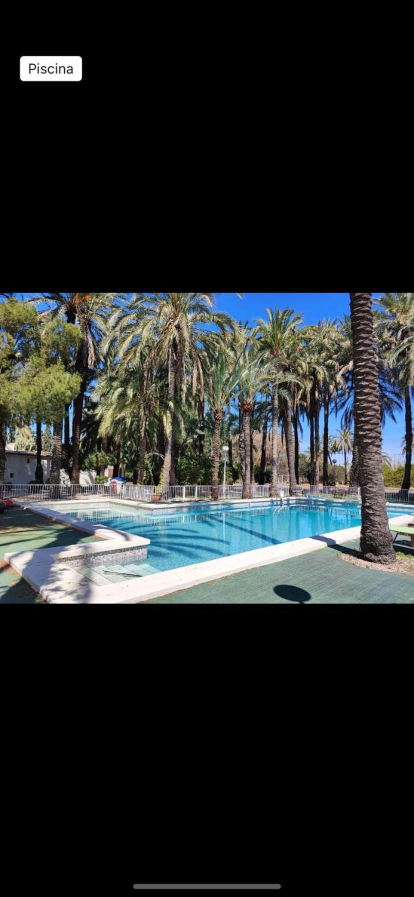 Bed and Breakfast Pink Lemon House Elx Esterno foto
