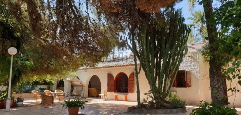 Bed and Breakfast Pink Lemon House Elx Esterno foto